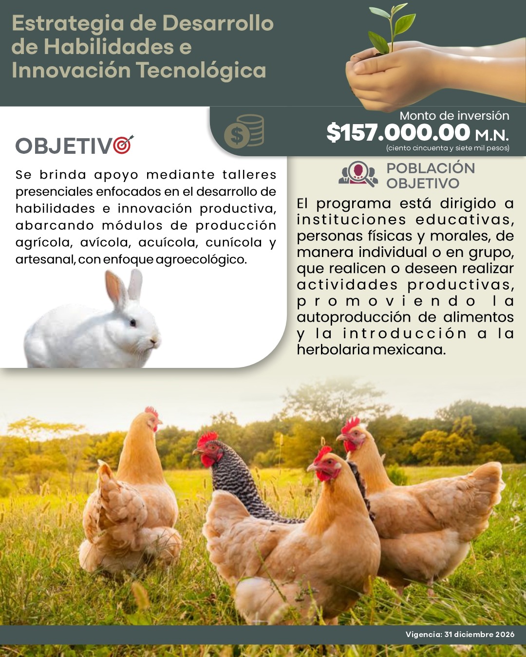 Estrategia de desarrollo de habilidades e innovación Téc.