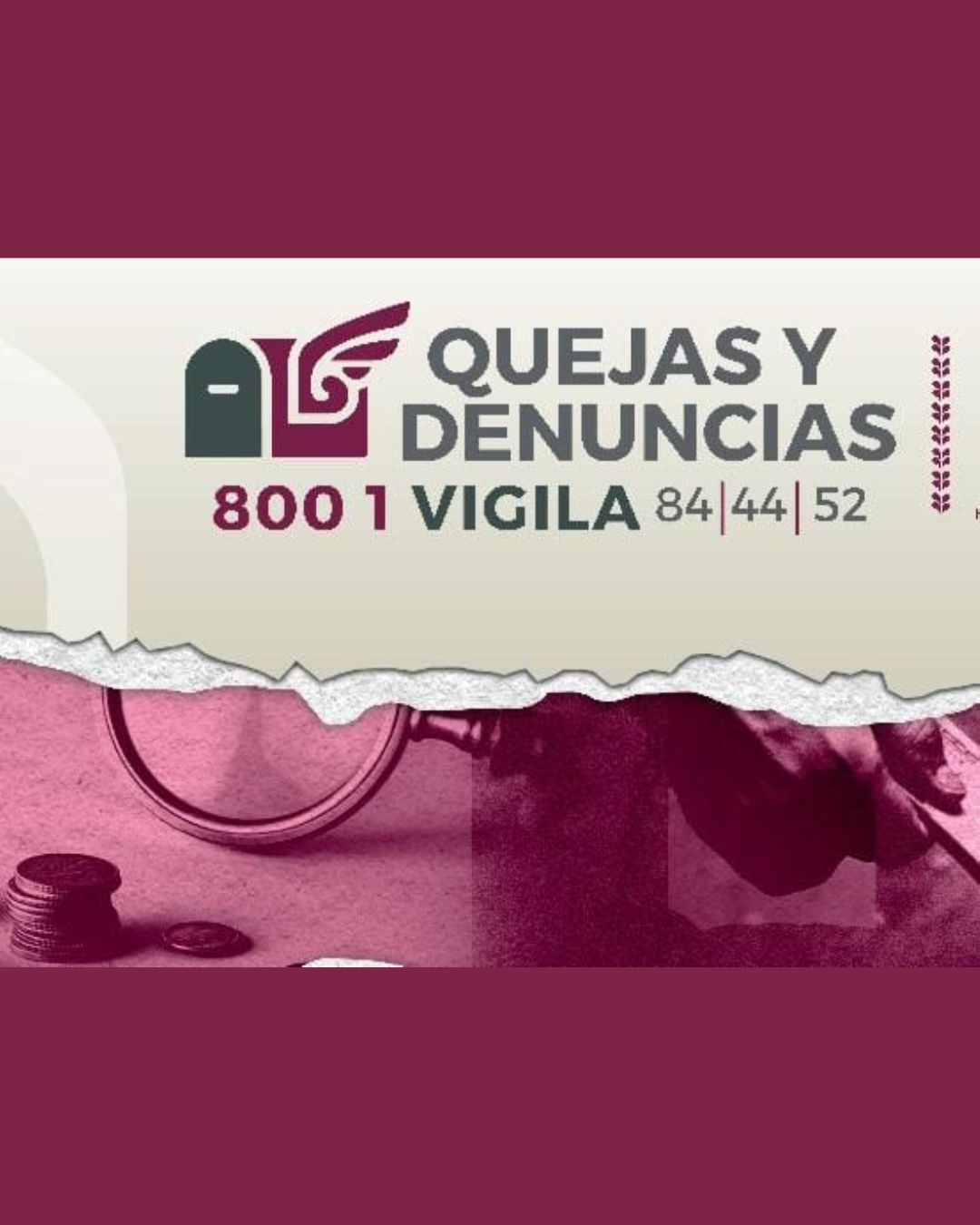 800 1 Vigila