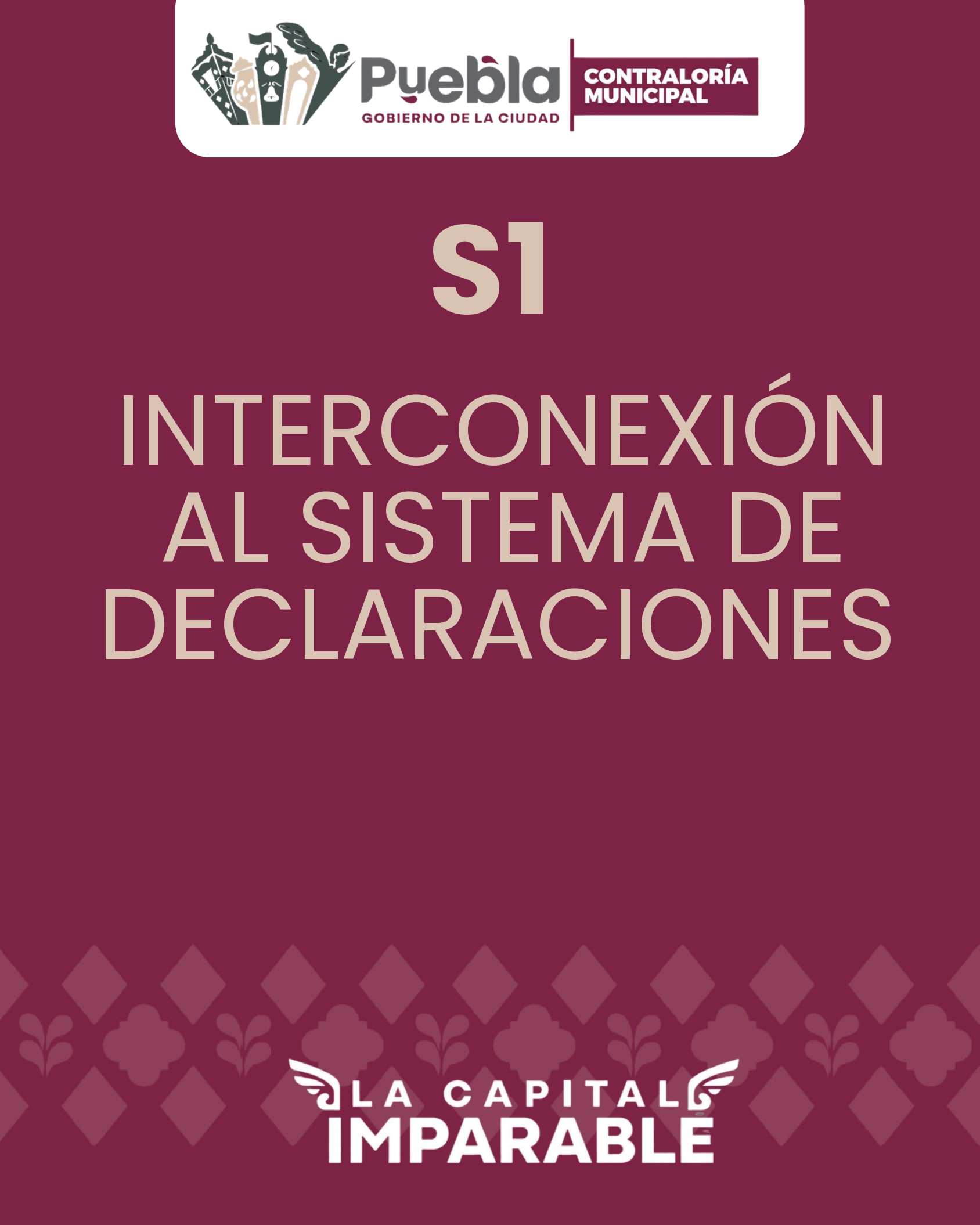 Interconexión al Sistema de Declaraciones (S1)