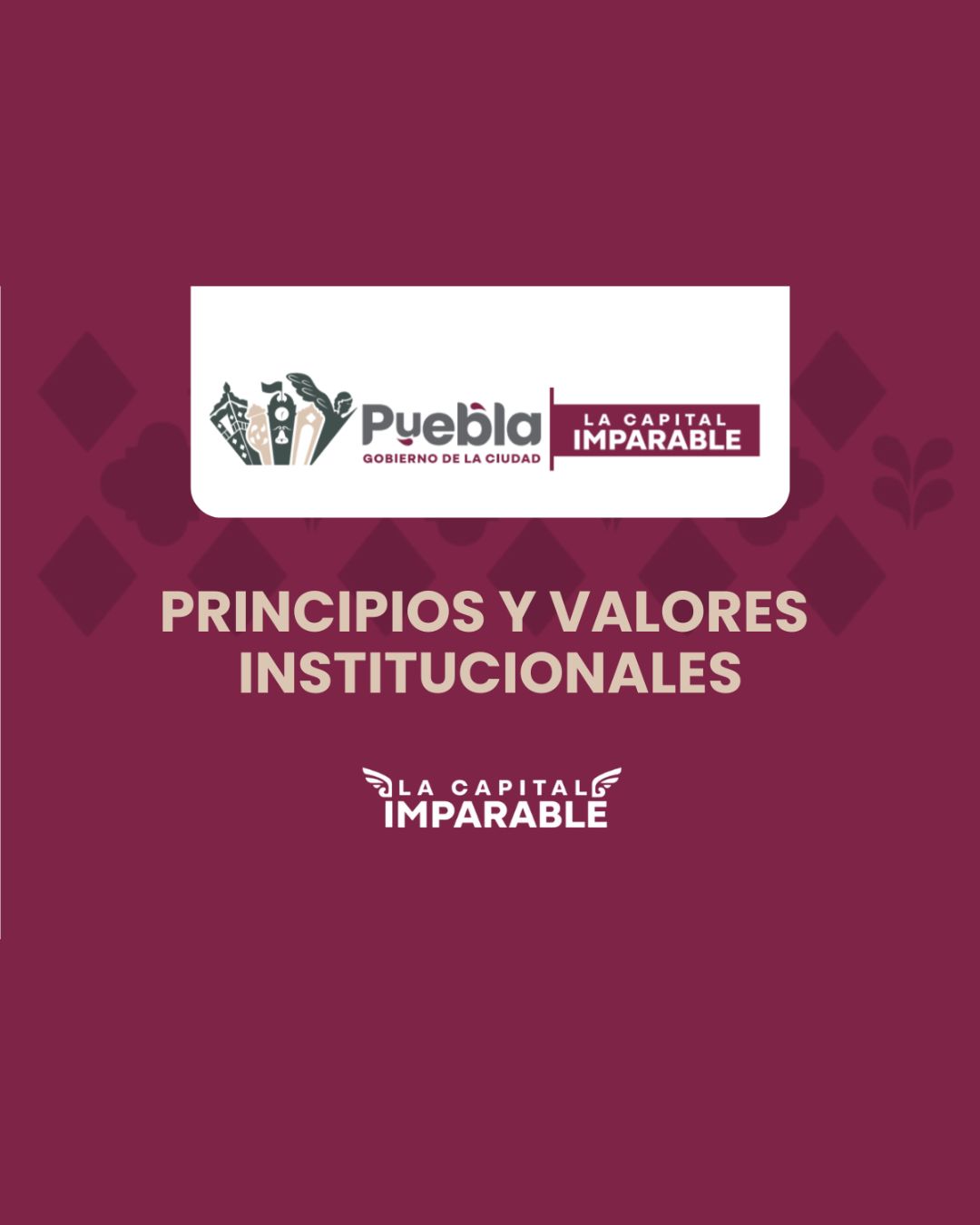 Principios y Valores Institucionales