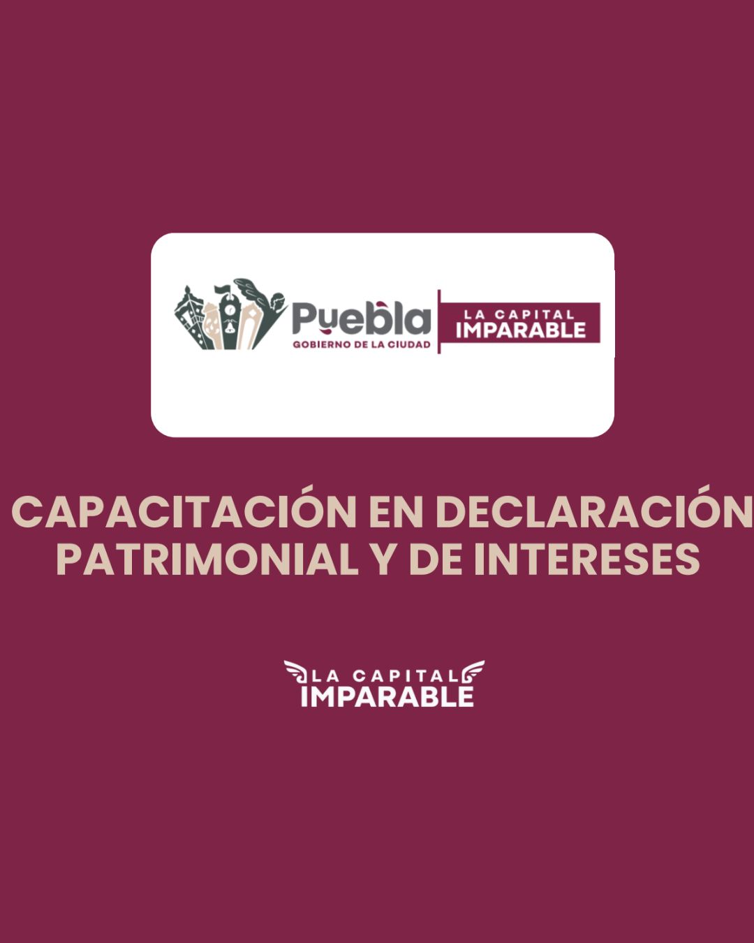 Capacitación Declaración Patrimonial y de Intereses