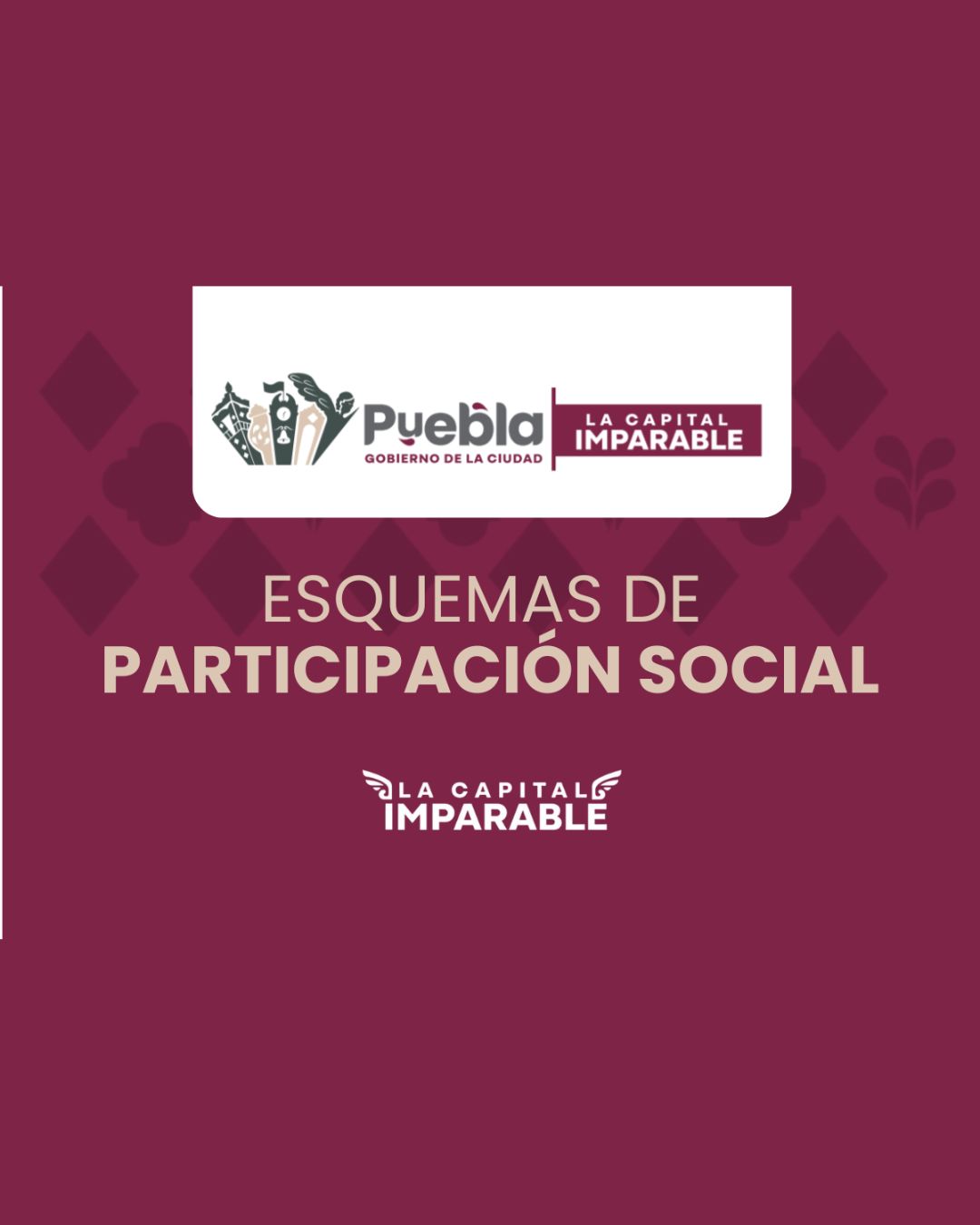 Mecanismos de Participación Ciudadana
