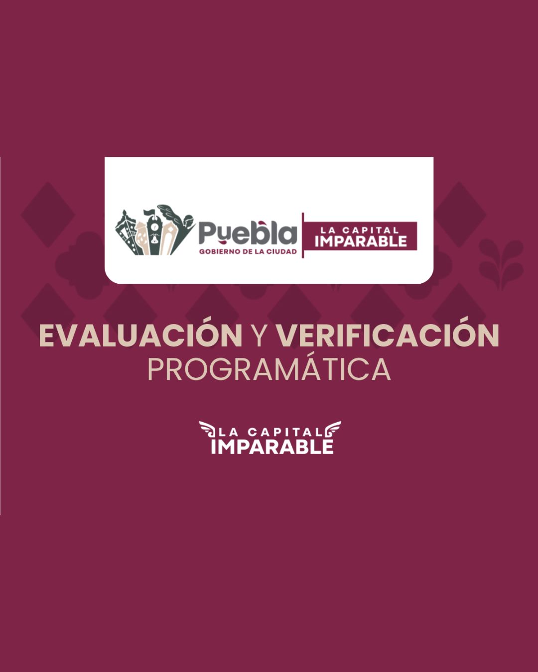 Evaluación y Verificación Programática