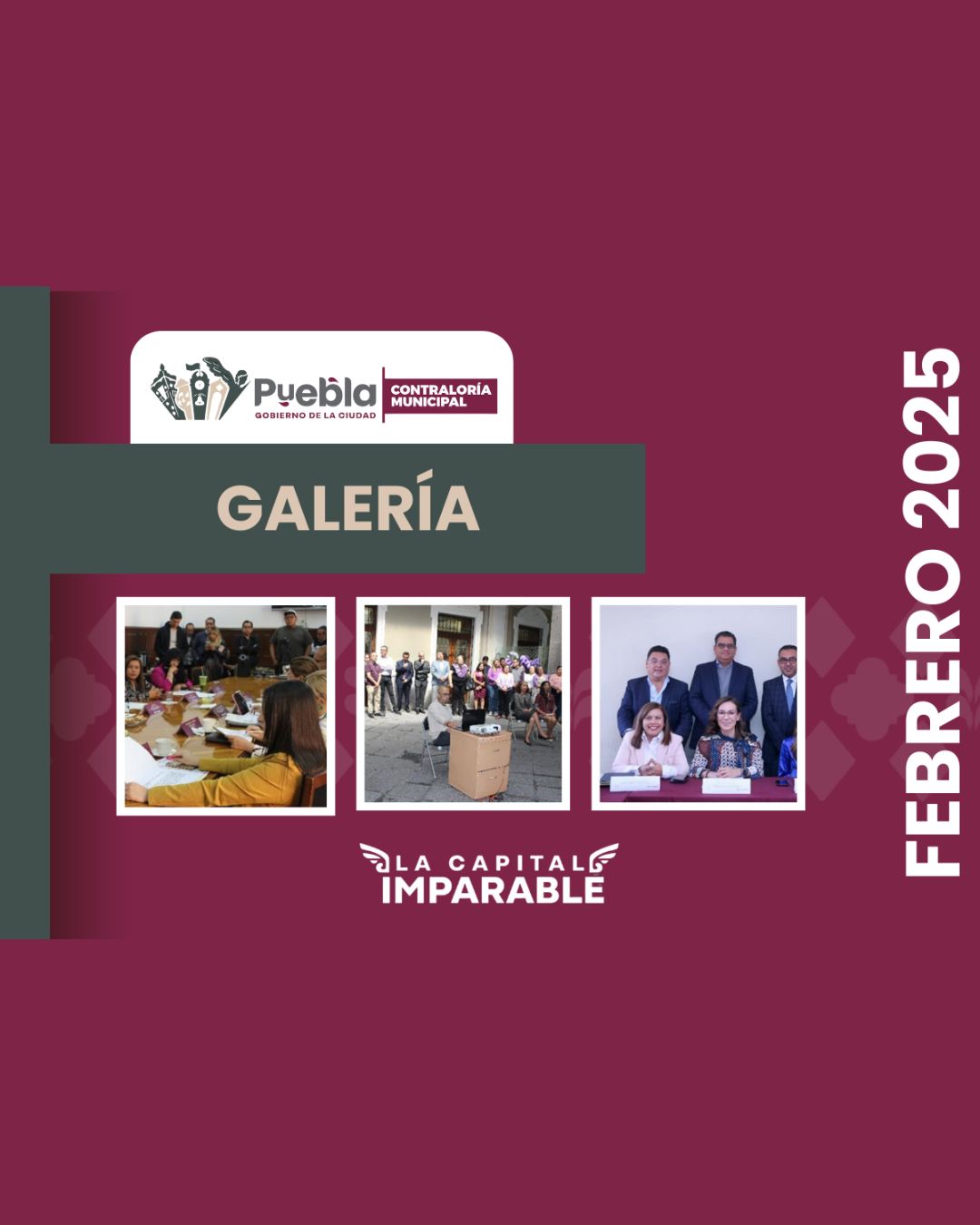 Galería Febrero 2025