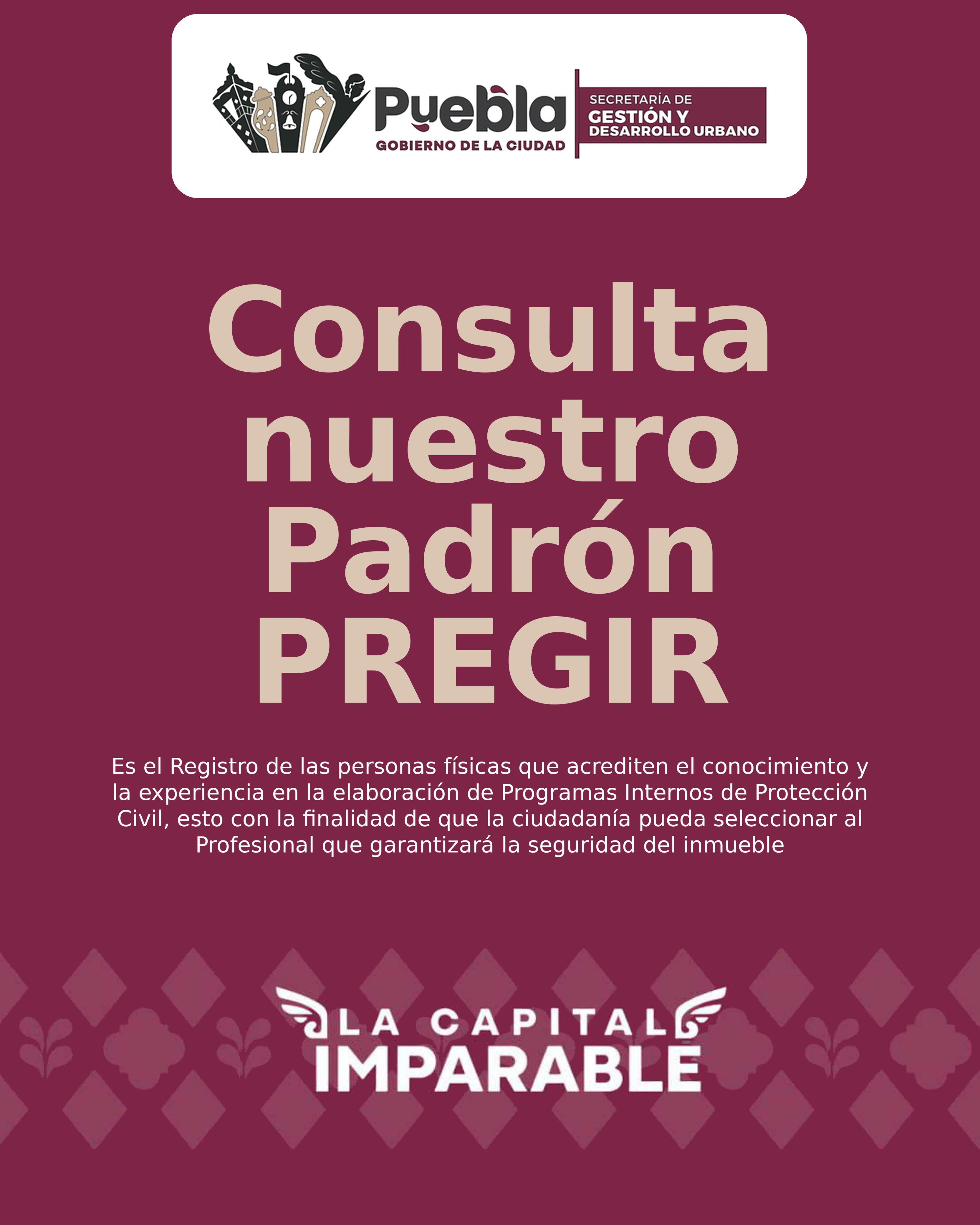 Consulta Nuestro Padrón PREGIR