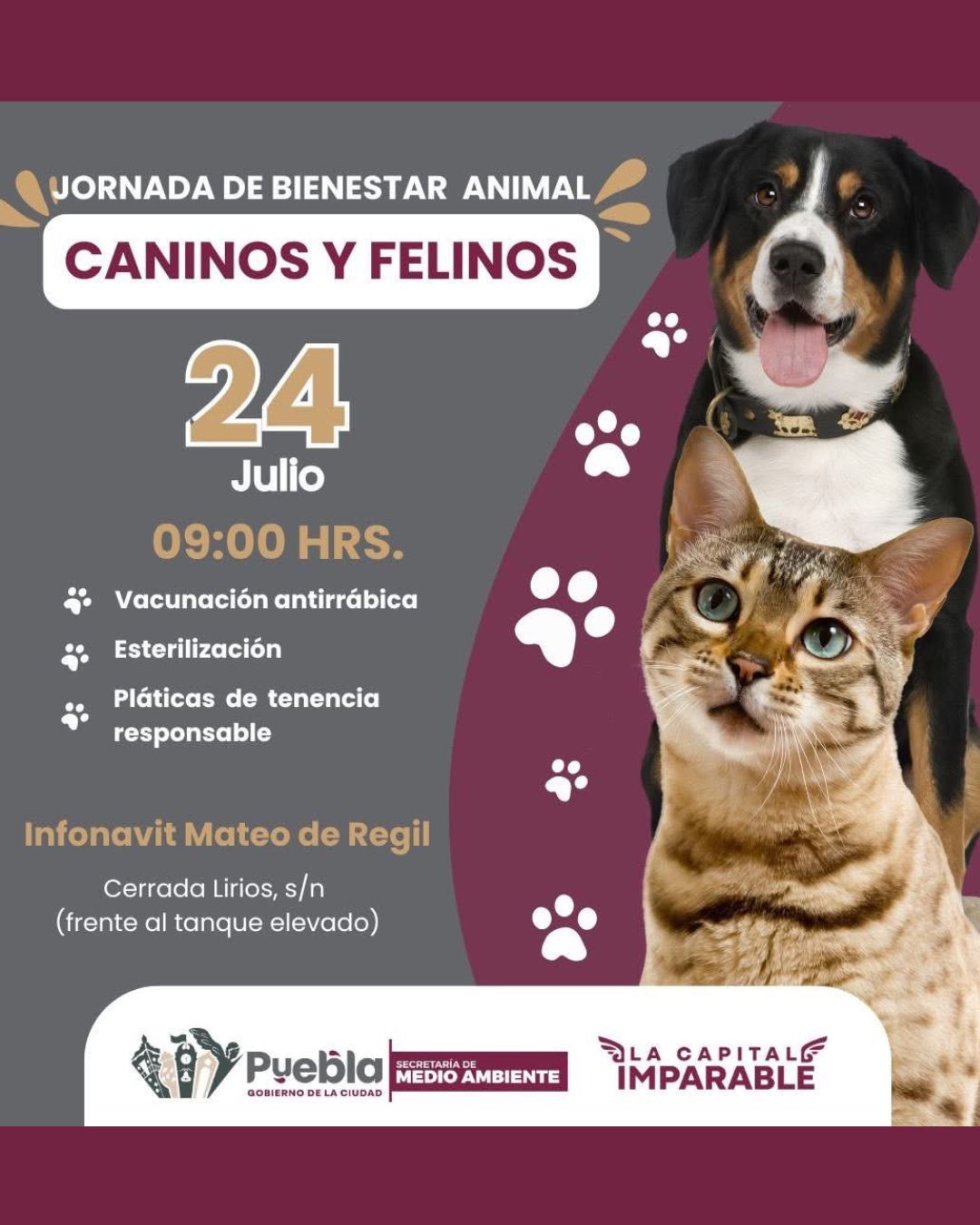 Jornadas de Bienestar Animal