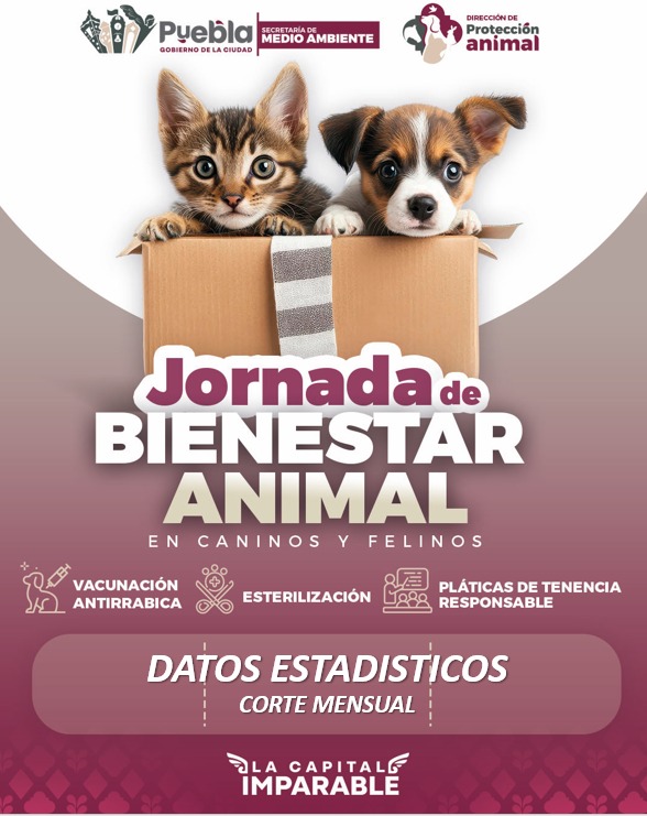 Datos estadísticos de las Jornadas de Bienestar Animal