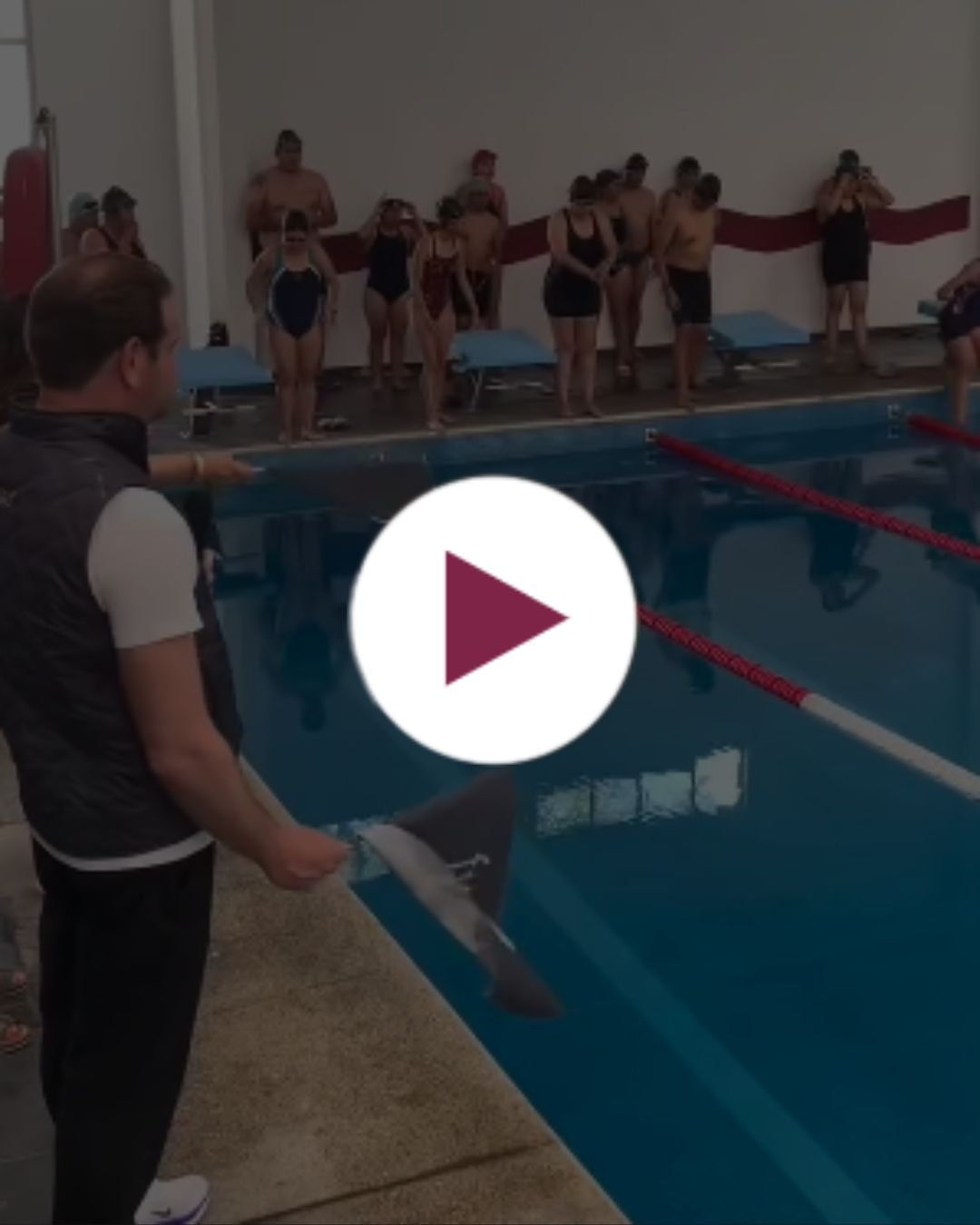 Nado por mi corazón 2025