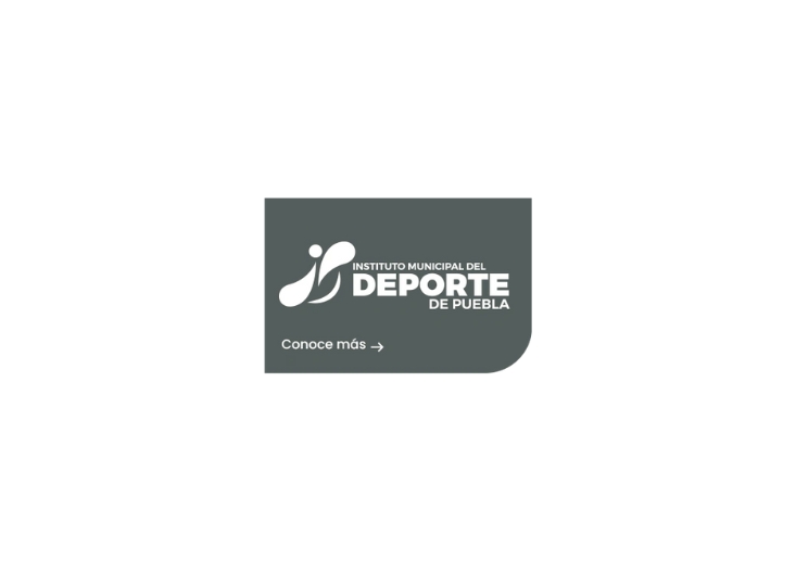 Portal IMDP