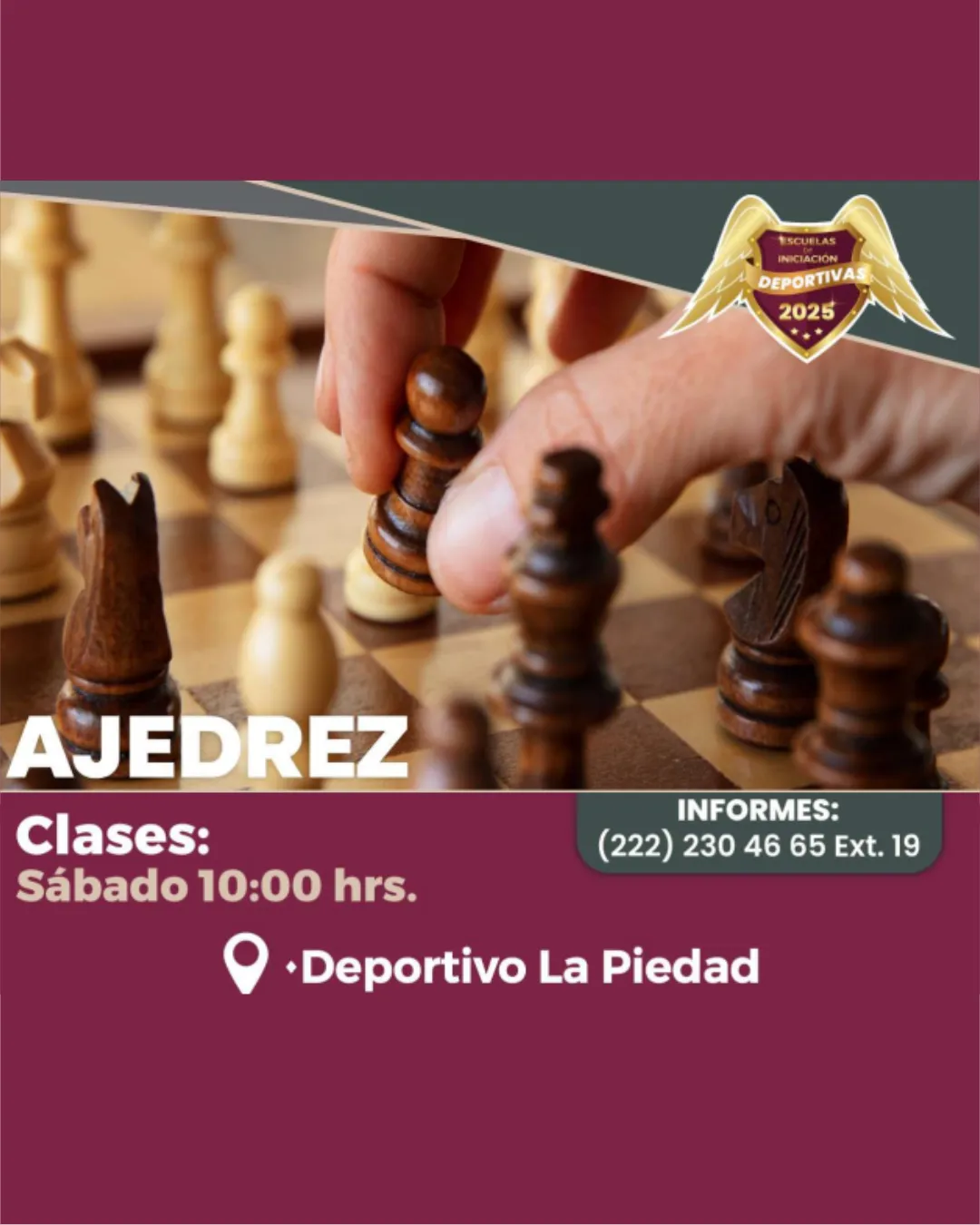 Inscríbete a nuestras clases de Ajedrez