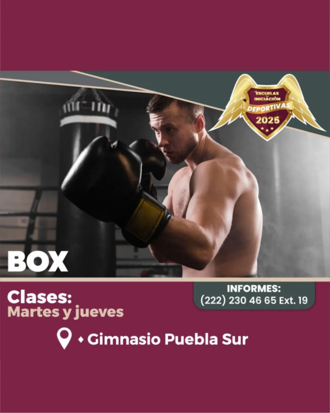 Inscríbete a Nuestras Clases Box
