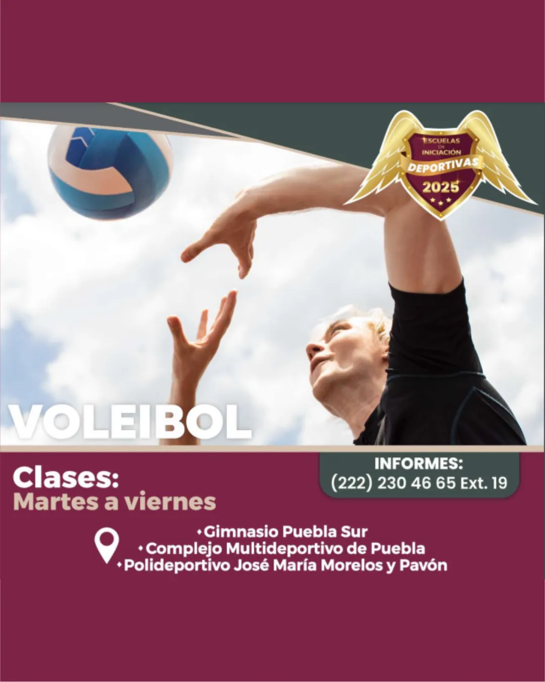 Inscríbete a Nuestras Clases de Voleibol