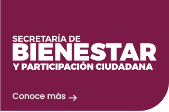 Secretaria de Bienestar y Participación Ciudadana