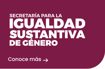 Secretaría Para la Igualdad Sustantiva de Genero