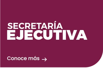 Secretaría Ejecutiva