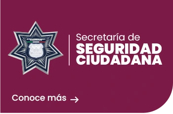 Secretaria de Seguridad Ciudadana