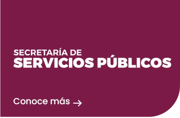 Secretaria de Servicios Publicos