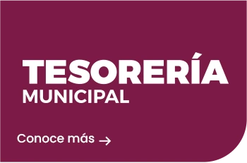 Tesoreria