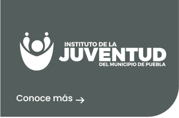 Instituto de la Juventud